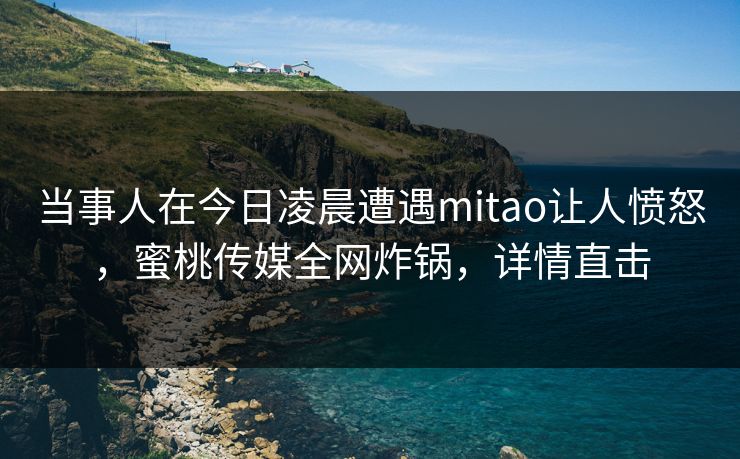 当事人在今日凌晨遭遇mitao让人愤怒,蜜桃传媒全网炸锅,详情直击