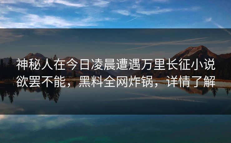 神秘人在今日凌晨遭遇万里长征小说欲罢不能,黑料全网炸锅,详情了解