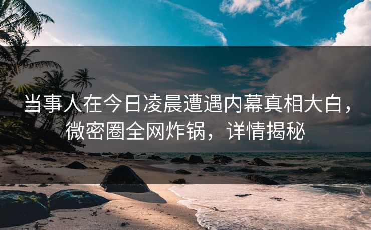 当事人在今日凌晨遭遇内幕真相大白，微密圈全网炸锅，详情揭秘