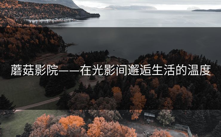 蘑菇影院——在光影间邂逅生活的温度