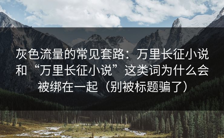 灰色流量的常见套路：万里长征小说和“万里长征小说”这类词为什么会被绑在一起（别被标题骗了）
