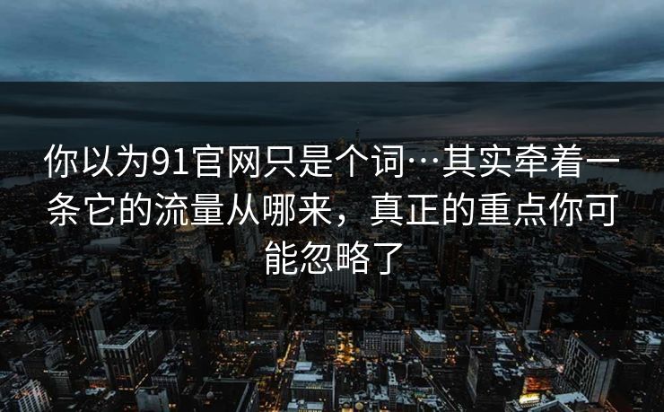 你以为91官网只是个词…其实牵着一条它的流量从哪来，真正的重点你可能忽略了