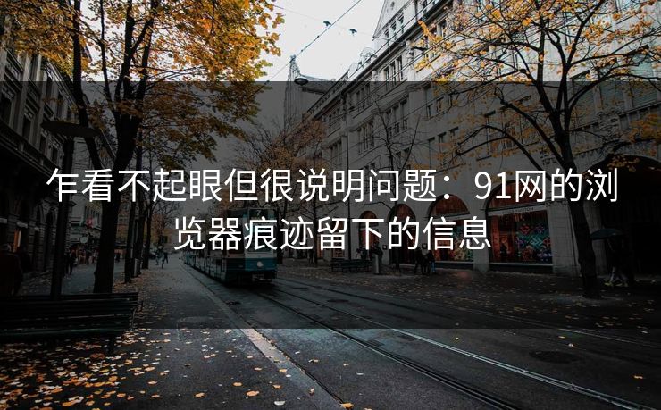 乍看不起眼但很说明问题：91网的浏览器痕迹留下的信息  第1张